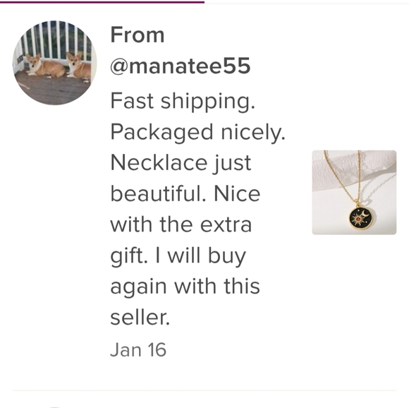 NEW!  Minimalist Crescent Moon Necklace - Gold Color  & Enamel - Picture 11 of 12